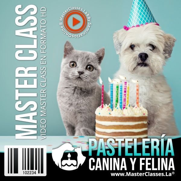 Curso de Pastelería Canina y Felina