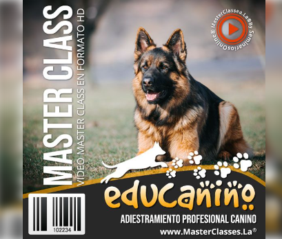 Educanino